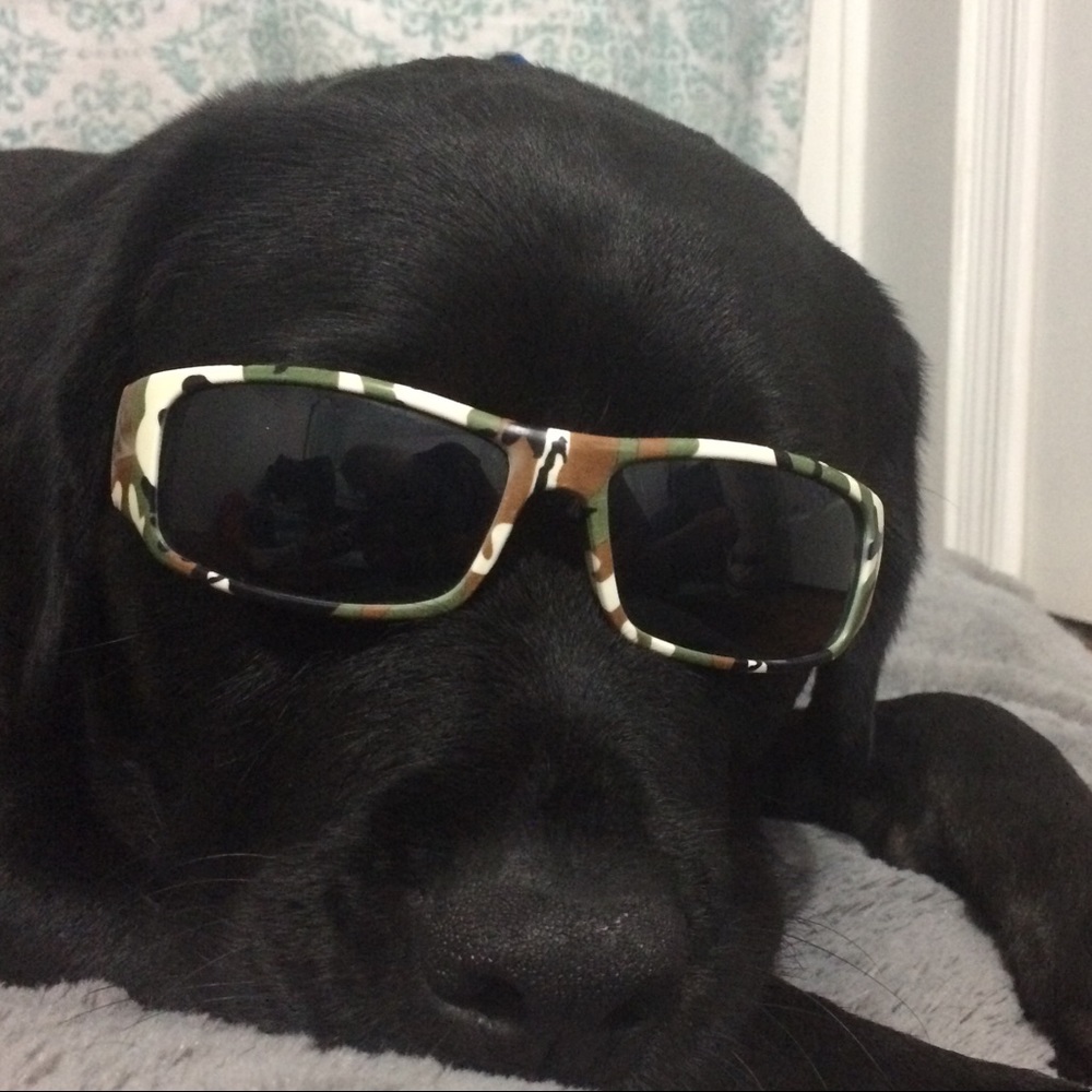 Meet your Posher, Jordyn